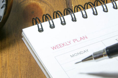 Weekly Plan dairy