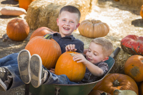 Pumpkin patch boys